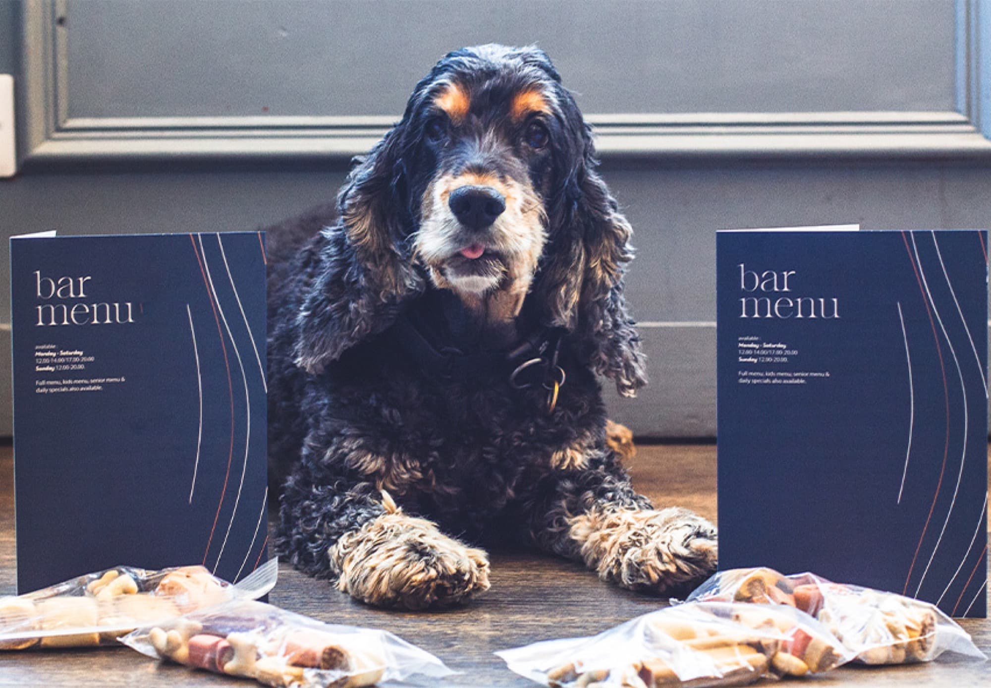 Hunde sind im Pub willkommen